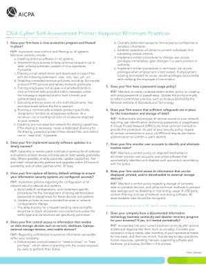 Cna Cyber Self Assessment Primer  Form