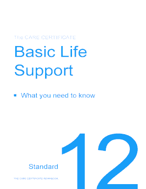 Care Standard 12  Form