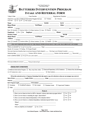 BATTERERS INTERVENTION PROGRAM  Form