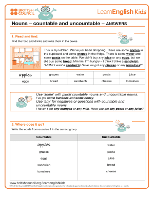 Countable and Uncountable Nouns Exercises PDF  Form