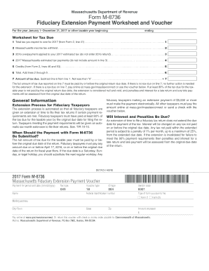  Form M 8736 2017