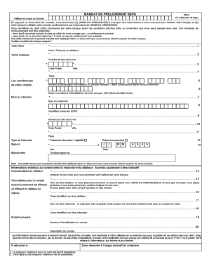 Mandat Sepa Amv  Form