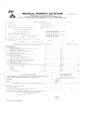 Guyana Tin Application Form