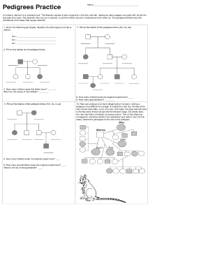 Pedigree Practice Worksheet  Form