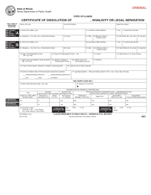 VR700 Cook County Clerk of the Circuit Court  Form