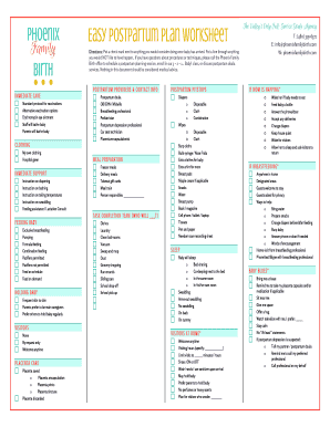 Postpartum Plan Template  Form