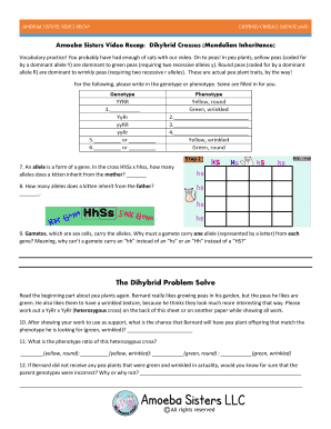 Amoeba Sisters Dihybrid Crosses Worksheet  Form