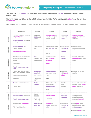 3rd Trimester Meal Plan  Form