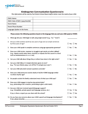 Communication Questionnaire PDF  Form