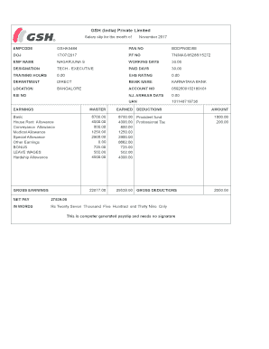 Instakart Services Pvt Ltd Salary Slip  Form