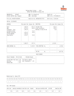 Reliance Salary Slip  Form