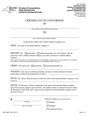  Georgia Certificate of Conversion Example 2017-2024