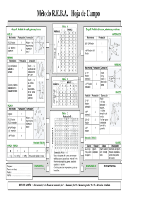 Hoja De Campo Reba  Form