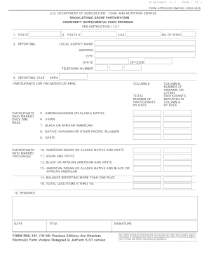 Fns 191 Form