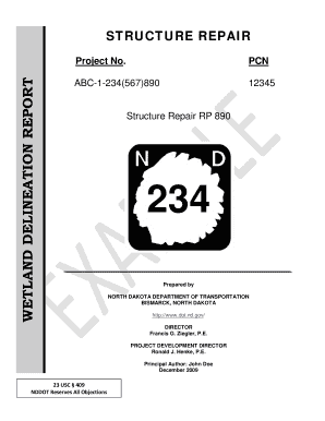 STRUCTURE REPAIR  Form