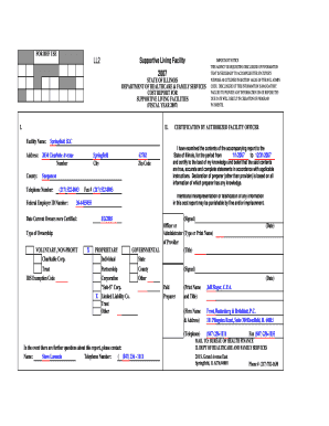 Springfield SLC 1000051 SLF Hfs Illinois  Form