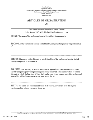 Insert Name of Professional Service Limited Liability Company Dos Ny  Form