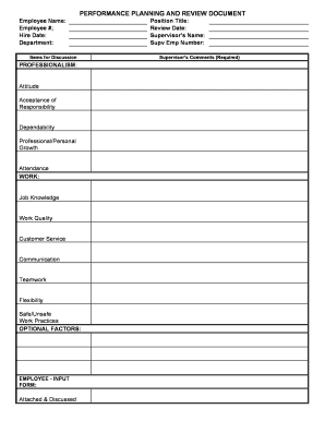 PERFORMANCE PLANNING and REVIEW DOCUMENT