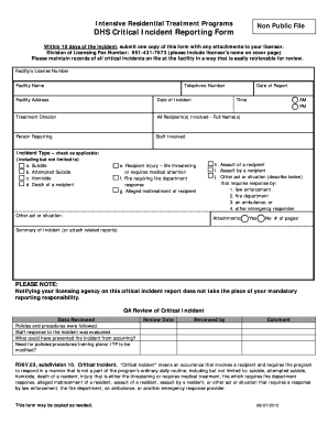  Critical Incident Review Template 2012