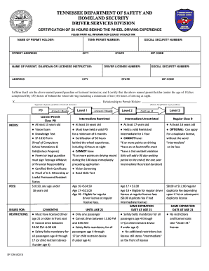 Sf 1256  Form