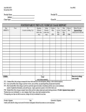 FOSTER PARENT PRIVATE VEHICLE USAGE REPORT Hsdcfs Utah  Form