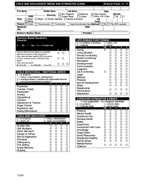 Cans Assessment Questions  Form