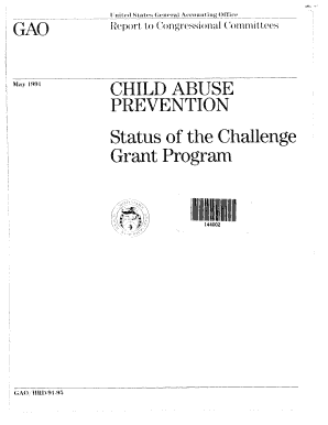 HRD 91 95 Child Abuse Prevention Status of the Challenge Grant  Form