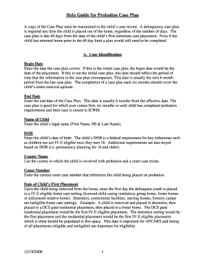 Probation Case Plan Example  Form