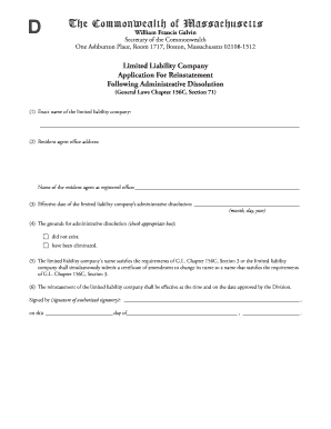  Limited Liability Company Application for Reinstatement Following 2008-2024