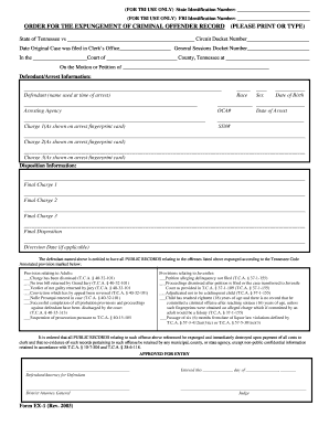  PDF Fillable Order for the Expungement of Criminal Offender Record Tennessee 2003-2024