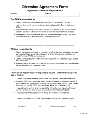 Diversion Agreement  Form