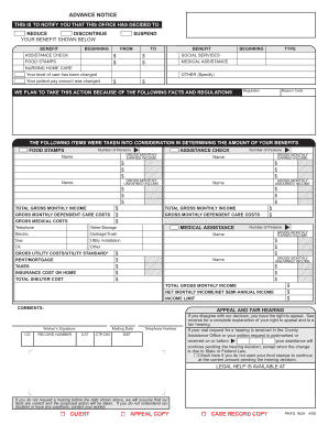 Pafs162  Form