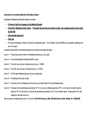 North Carolina Medicaid Quarterly Credit Balance Report  Form