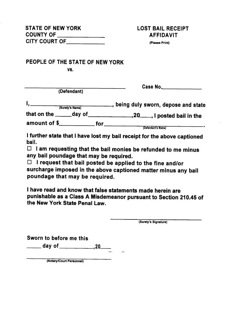 Bail Receipt  Form