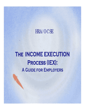 Income Execution Form Ny