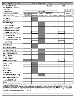 Bsa Zoning Analysis Form