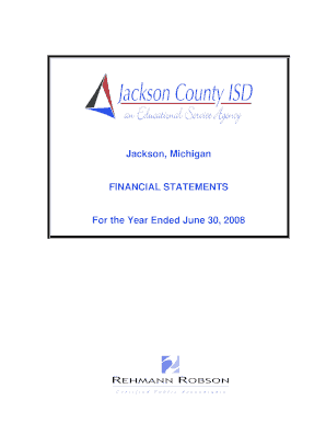 Jackson, Michigan FINANCIAL STATEMENTS State of Michigan Michigan  Form