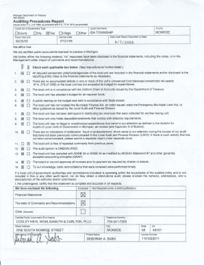 Auditing Procedures Report 072106 97 8 D 8 D 8 D Michigan  Form