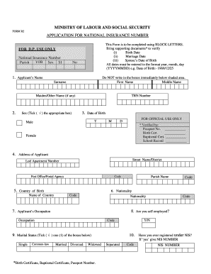 Nis Application Form