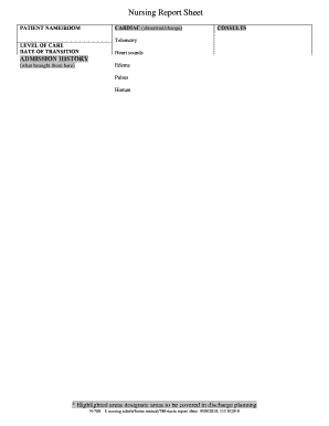 Nursing Report Sheet Online Fillable Form