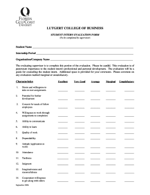 INTERN EVALUATION FORM
