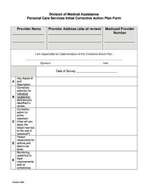 Corrective Action Plan Fillable Form