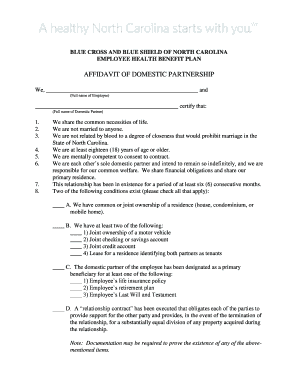 Blue Cross Blue Shield Domestic Partner Requirements North Carolina  Form