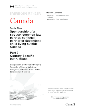 Cic Imm 3907e Form