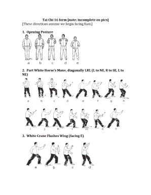 Tai Chi 16 Form Yang Style PDF