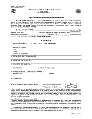 Contrato Servicios Profesionales Puerto Rico  Form