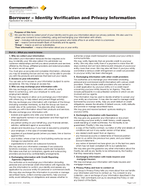 Verification Form of Borrower Identity