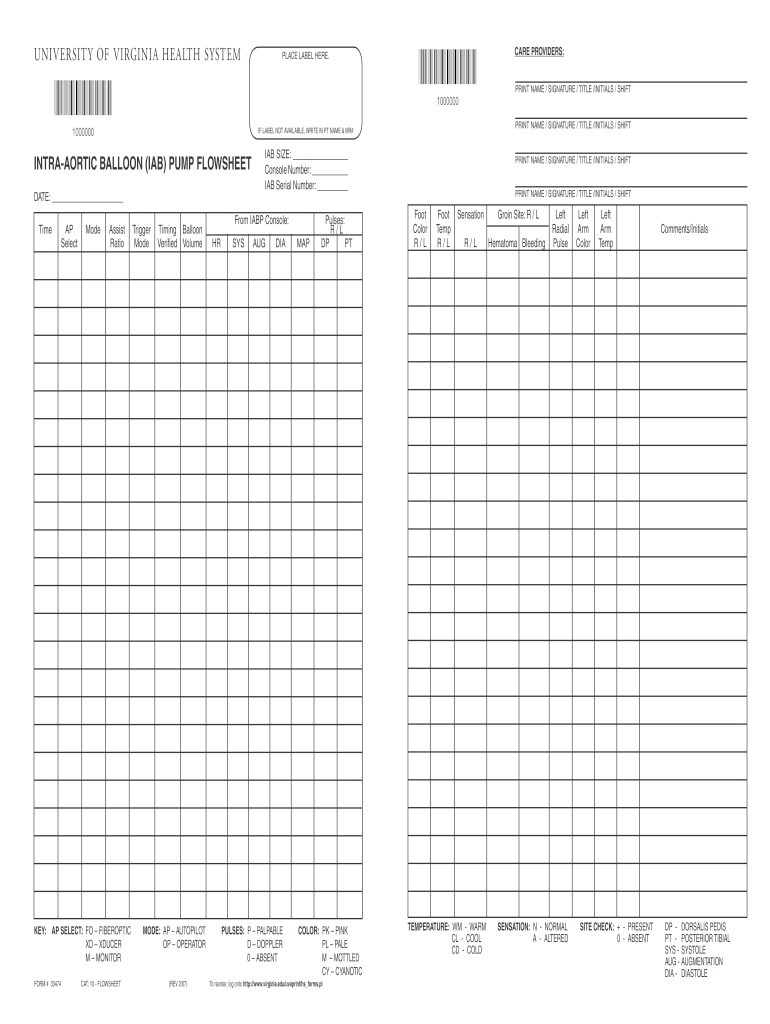  Iab Pump Flowsheet University of Virginia Virginia 2007-2024
