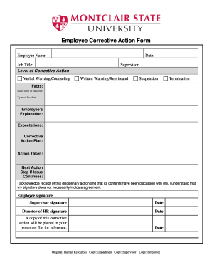Corrective Action Form Template - Fill Out and Sign Printable PDF Template