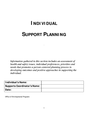Individual Support Plan Template  Form